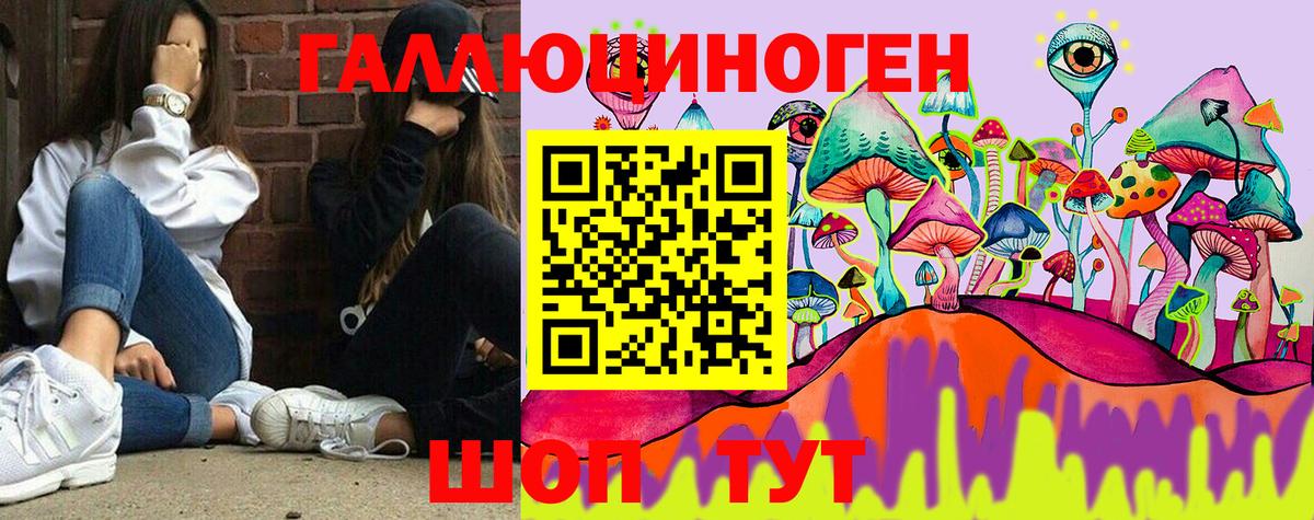 продажа наркотиков  Галлюциногенные грибы GOLDEN TEACHER  Вход с VPN  Псилоцибиновые грибы GOLDEN TEACHER  Междуреченск 